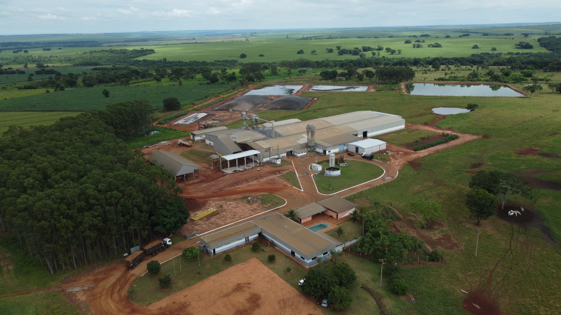 Vista aérea da unidade industrial da Amagil, em Novo Horizonte do Sul - MS