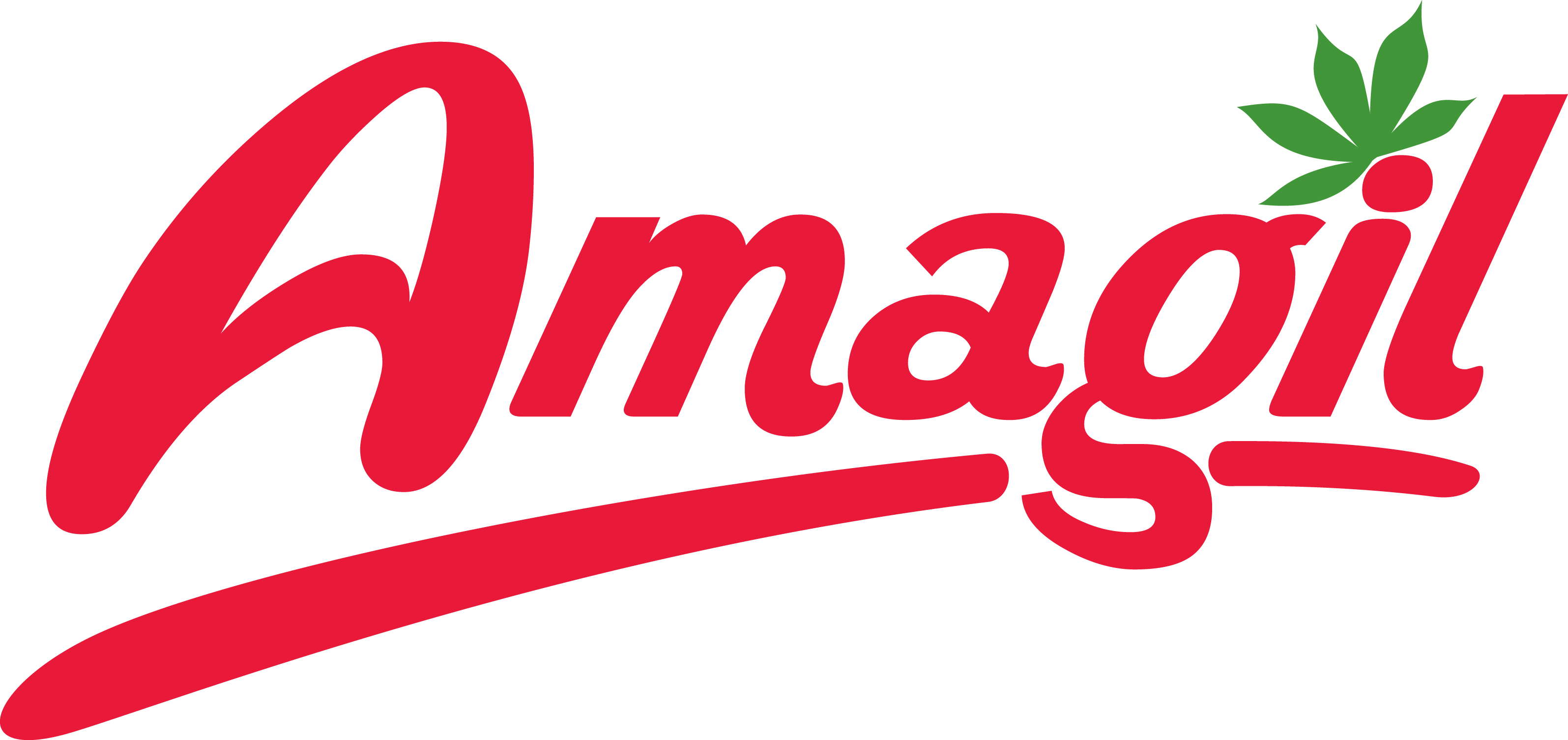 Amagil